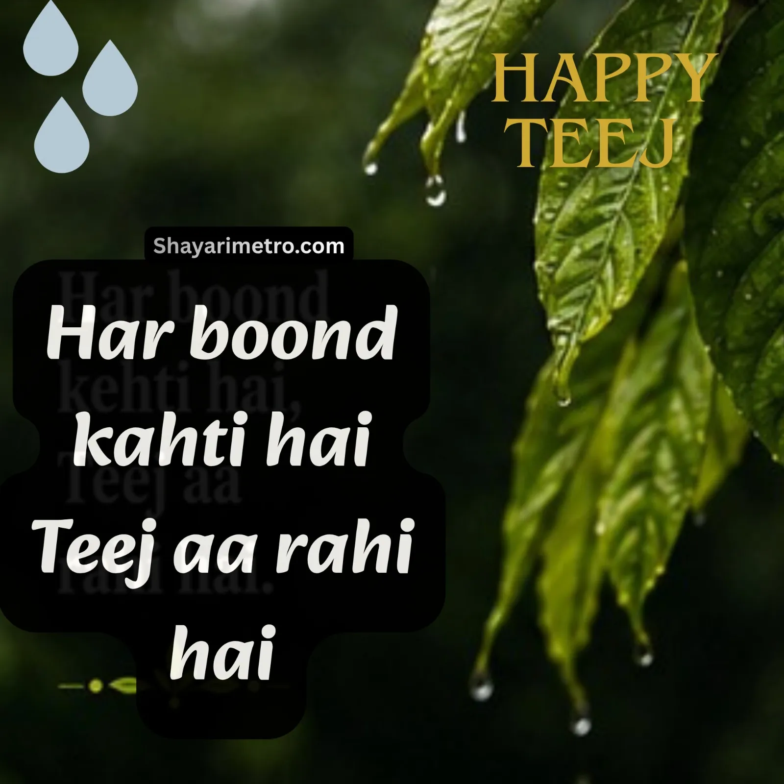 Teej Wishes Image 13 HD Download — Teej Greetings & Status