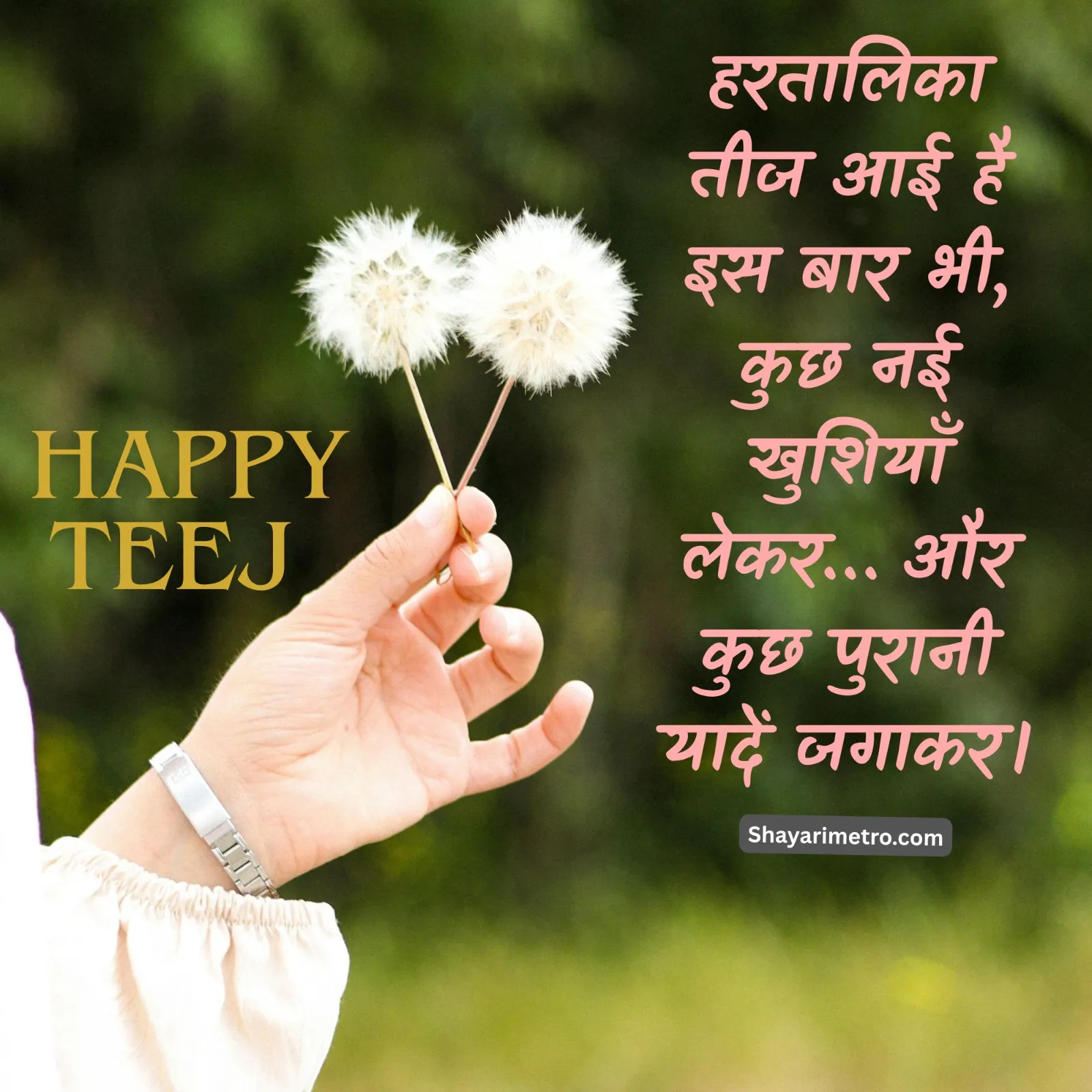 Teej Wishes Image 15 HD Download — Teej Greetings & Status