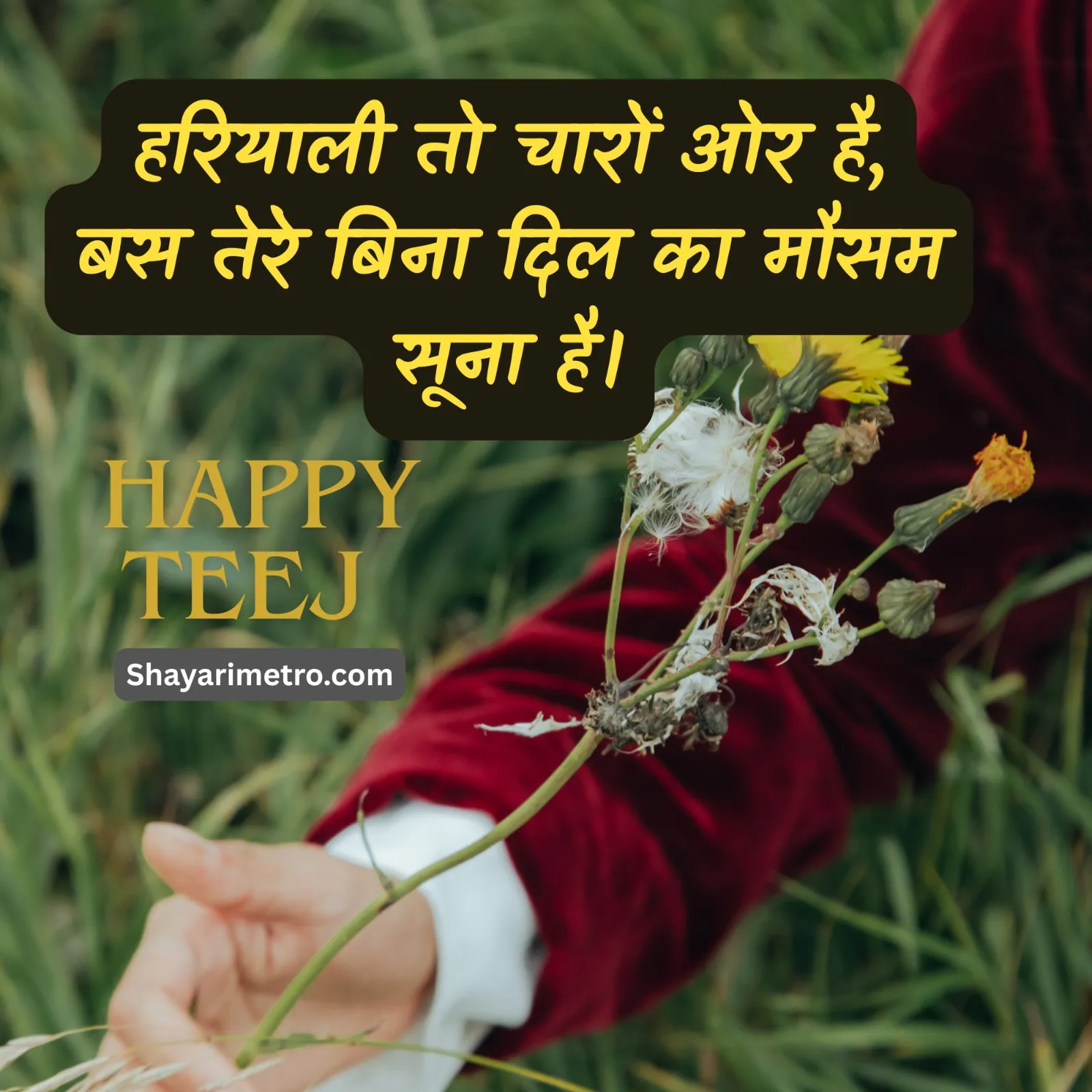 Teej Wishes Image 20 HD Download — Teej Greetings & Status
