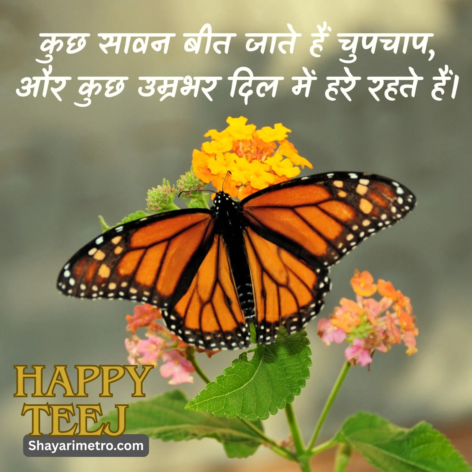 Teej Wishes Image 23 HD Download — Teej Greetings & Status