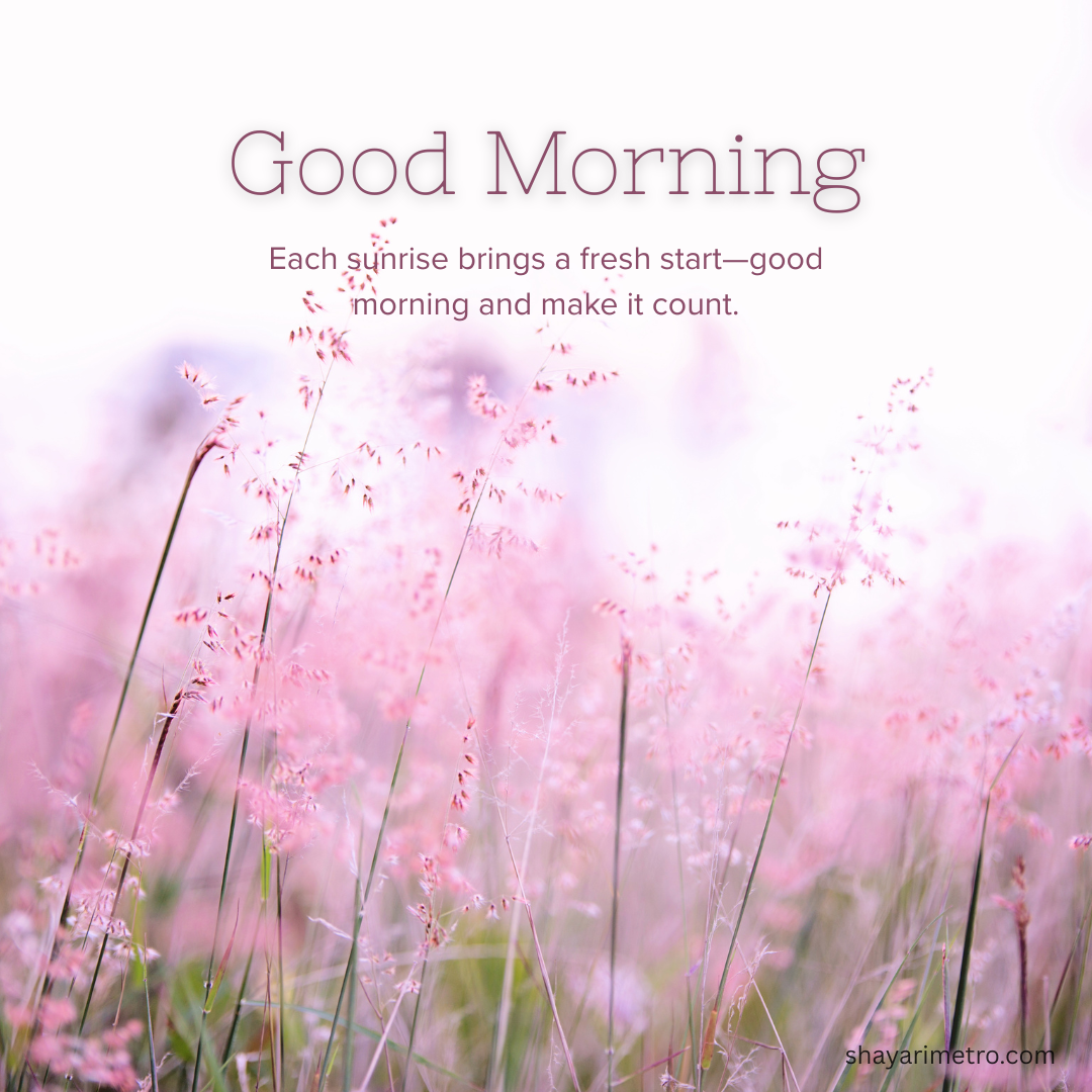 Happy Morning Everyone Wishes Photo