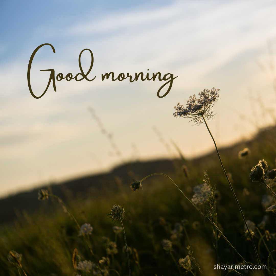 Good Morning Wishes Image for Everyone