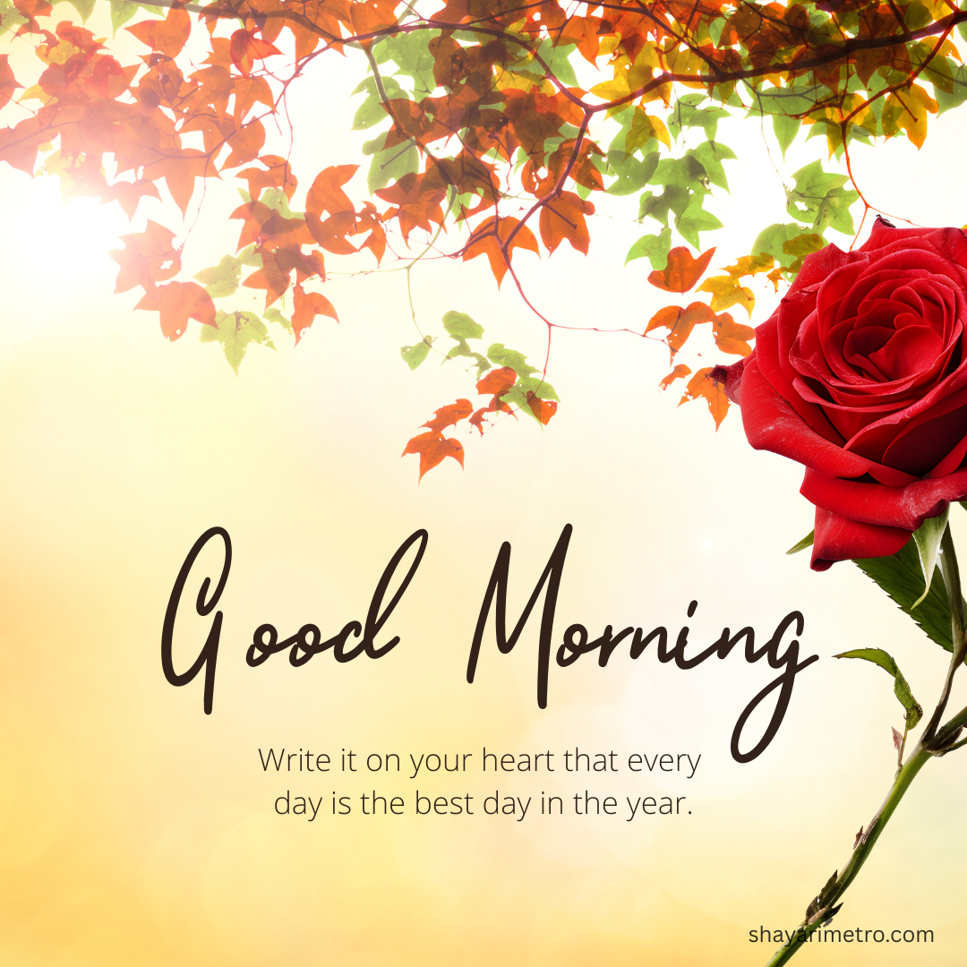Good Morning Wishes for Everyone Image Good Morning Wishes for Everyone Image