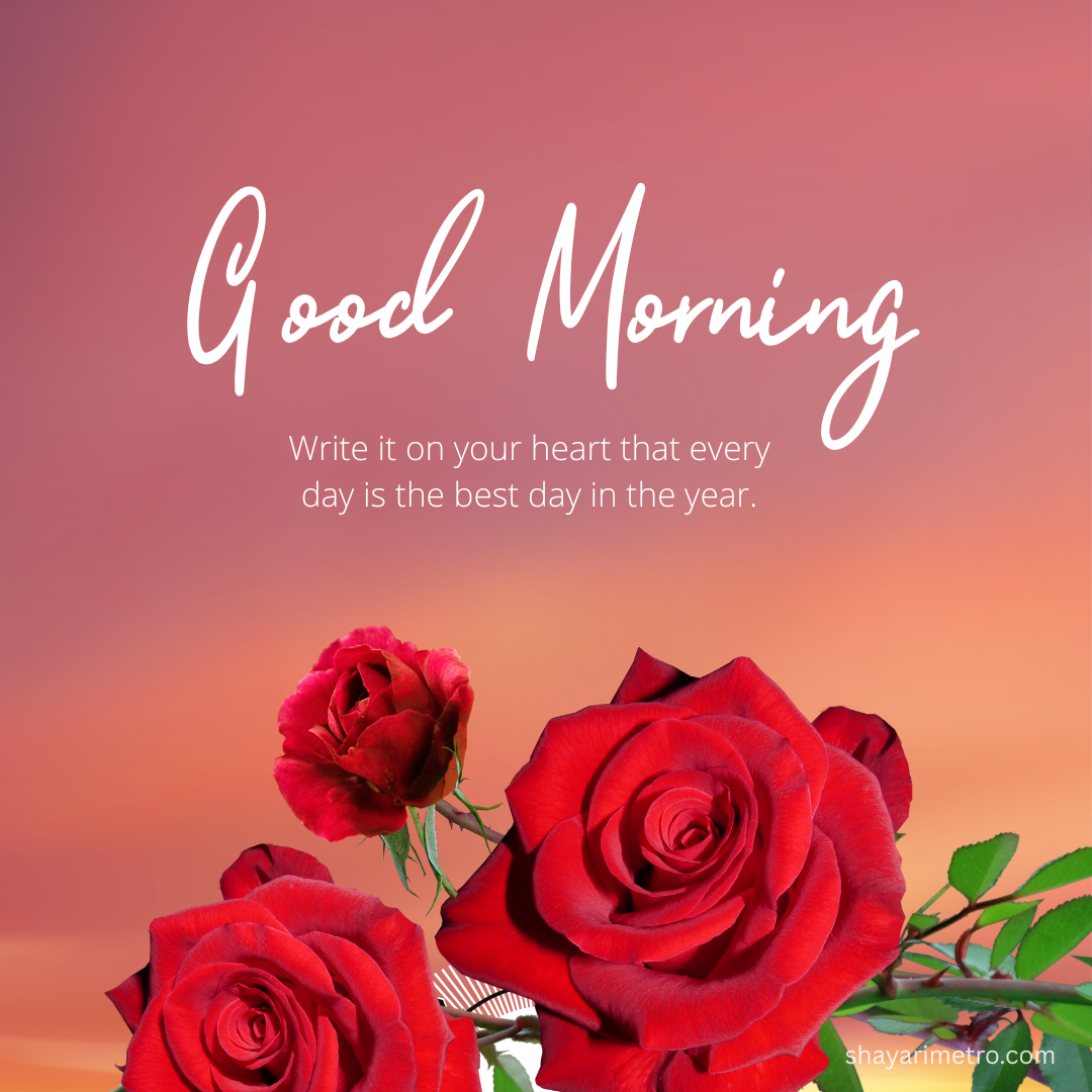 Happy Morning Everyone Wishes Photo Happy Morning Everyone Wishes Photo