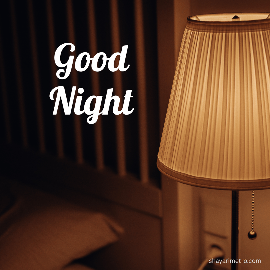 Beautiful Night Greeting for Everyone Beautiful Night Greeting for Everyone
