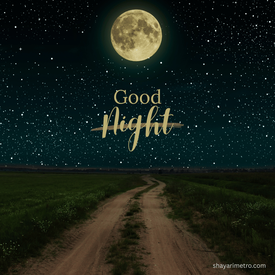 Special Good Night Message Image for Everyone Special Good Night Message Image for Everyone